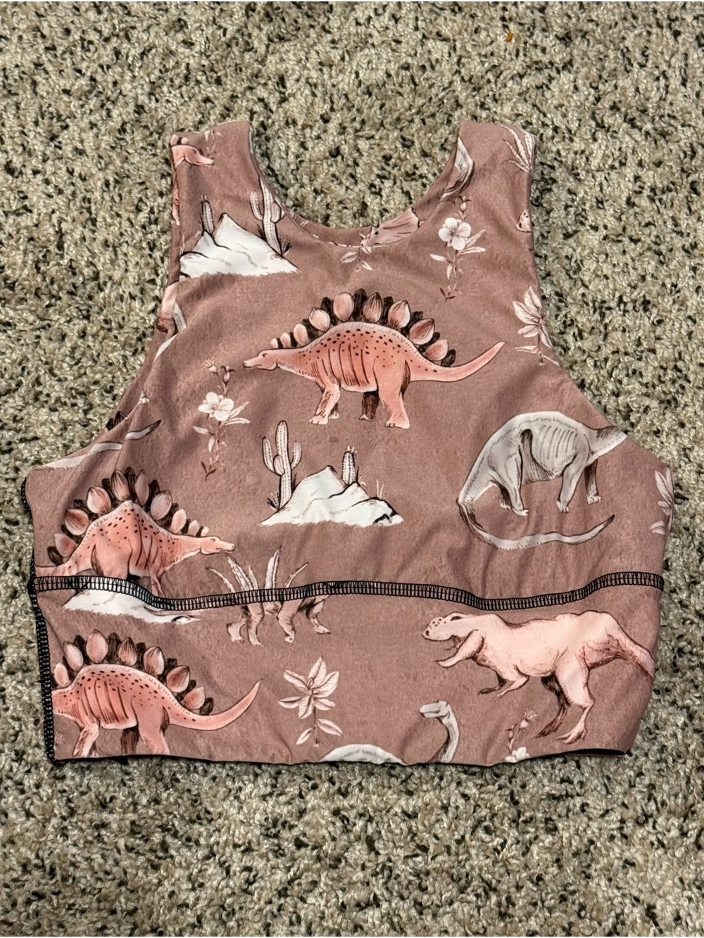 Adorable Yoga Democracy Sold Out Pink Dinosaur Print Crop Tank Top Size XS